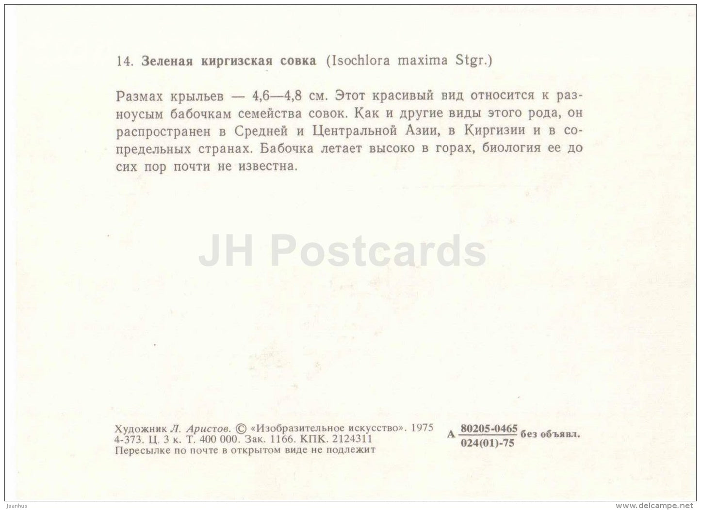 Isochlora maxima - butterfly - 1975 - Russia USSR - unused - JH Postcards