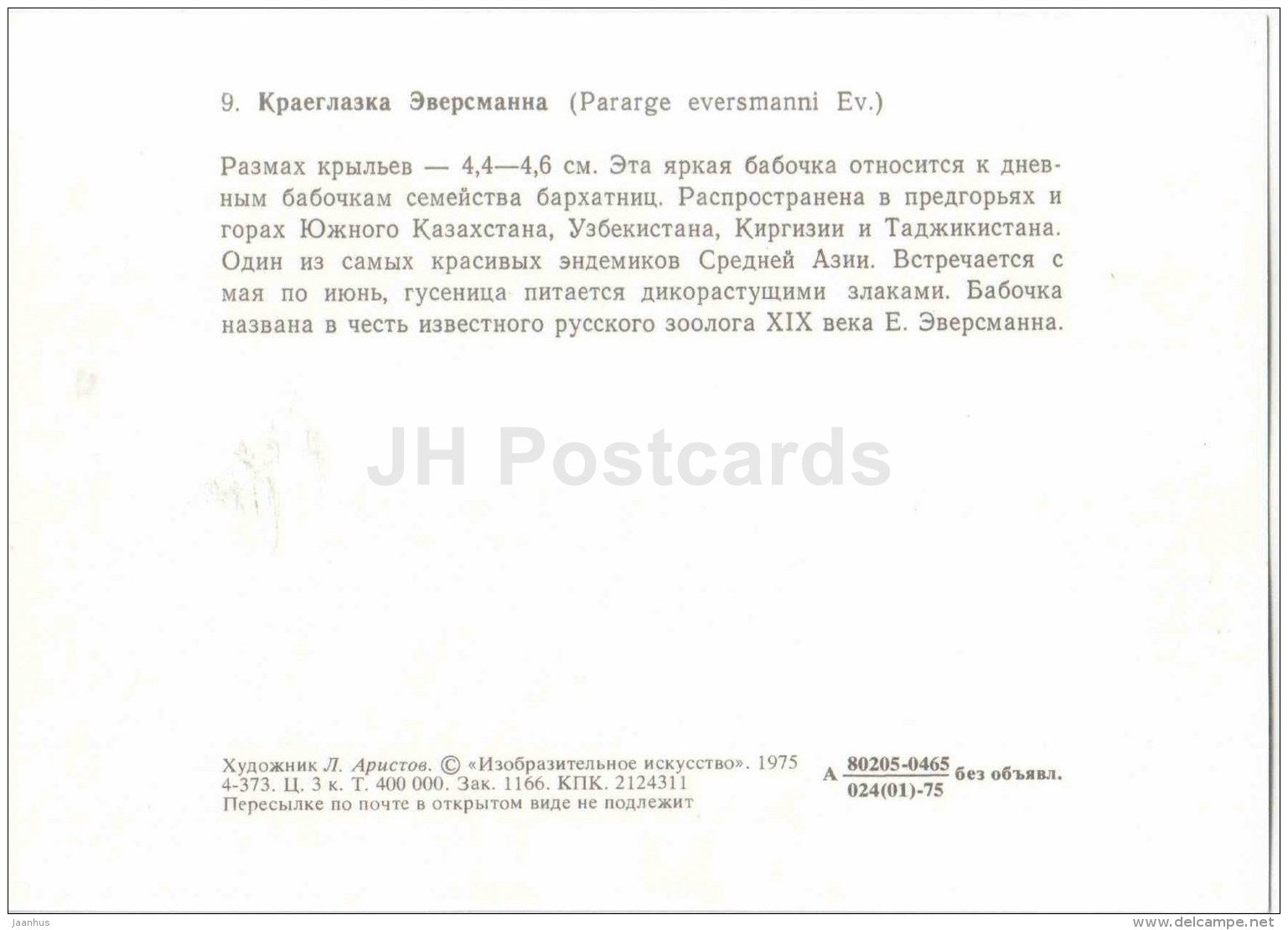 Pararge eversmanni - butterfly - 1975 - Russia USSR - unused - JH Postcards