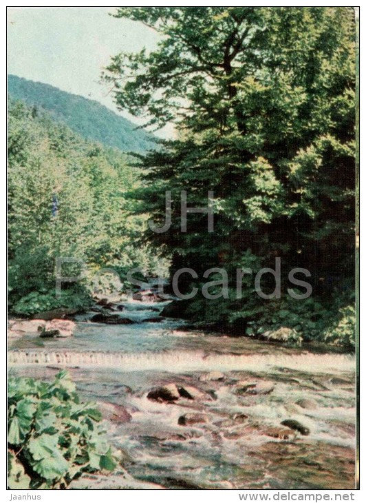 At the Chrona Tysa river - Carpathian Mountains - Carpathians - 1969 - Ukraine USSR - unused - JH Postcards