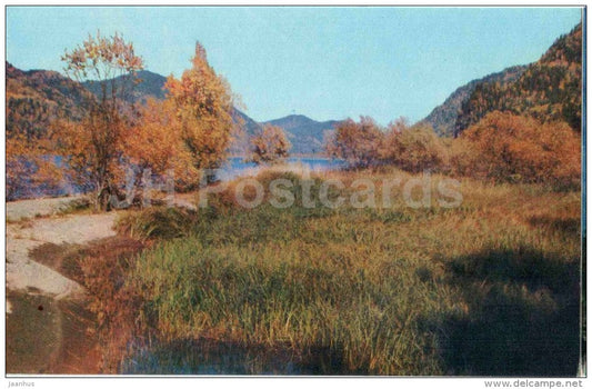 autumn - Lake Teletskoye - Altay - 1972 - Russia USSR - unused - JH Postcards