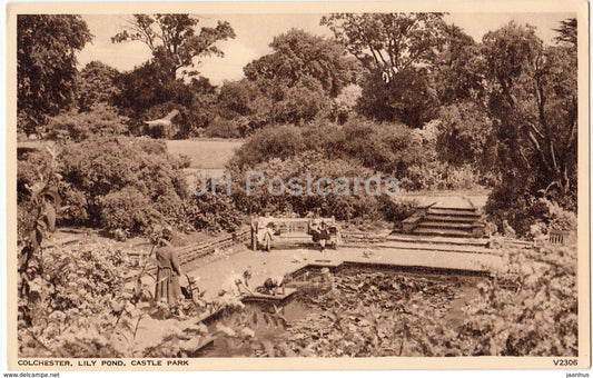 Colchester - Lily Pond - Castle Park - V2306- 1952 - United Kingdom - England - used - JH Postcards