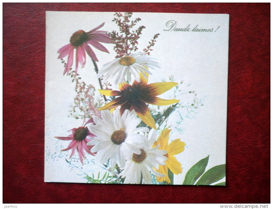 Greeting card - daisies - flowers - 1989 - Latvia USSR - unused - JH Postcards