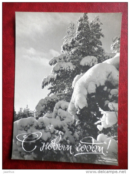 New Year Greeting card - winter - fir trees - 1967 - Estonia USSR - used - JH Postcards