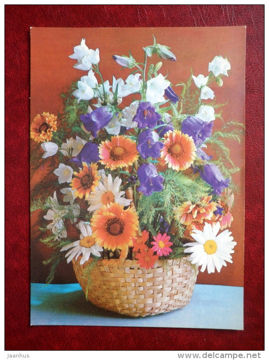 daisies - flowers - 1981 - Russia USSR - unused - JH Postcards