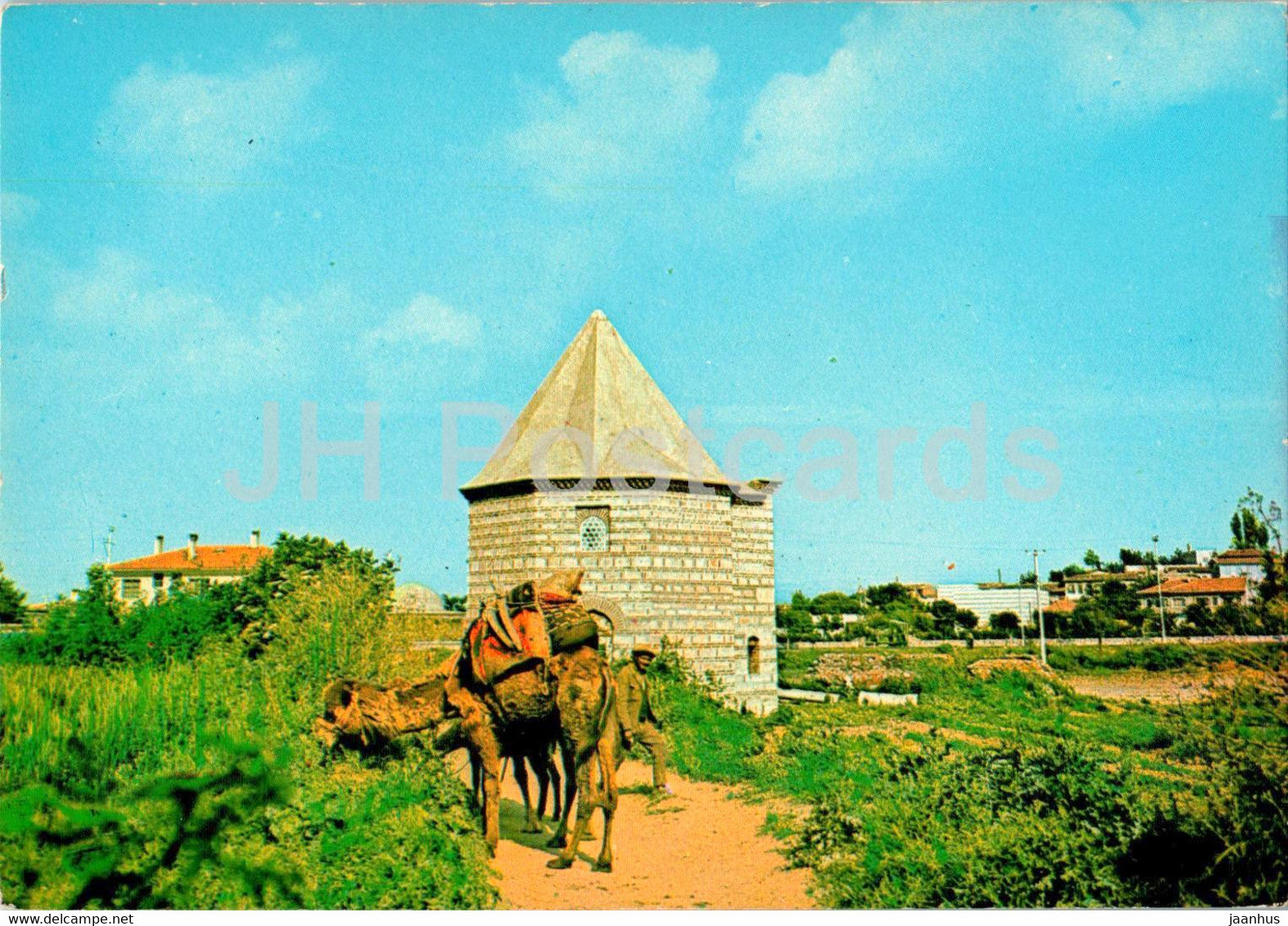 Selcuk - Izmir - Kumbet ve Develer - mausoleum - camel - animals - 3150 - Turkey - unused - JH Postcards