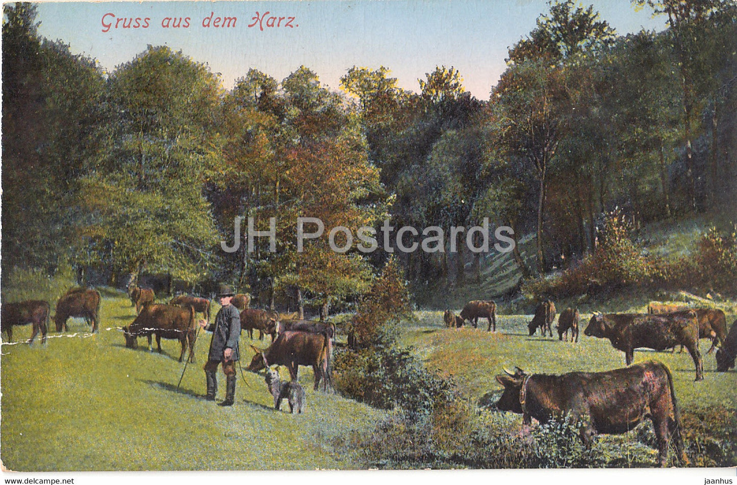 Gruss aus dem Harz - cow - 8241 - old postcard - Germany - used - JH Postcards