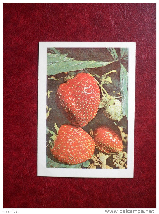 Mini Greeting card - strawberries - flowers - 1982 - Estonia USSR - used - JH Postcards