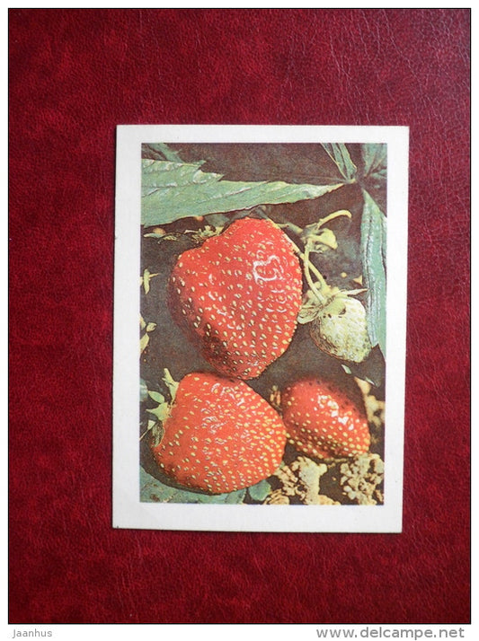 Mini Greeting card - strawberries - flowers - 1982 - Estonia USSR - used - JH Postcards