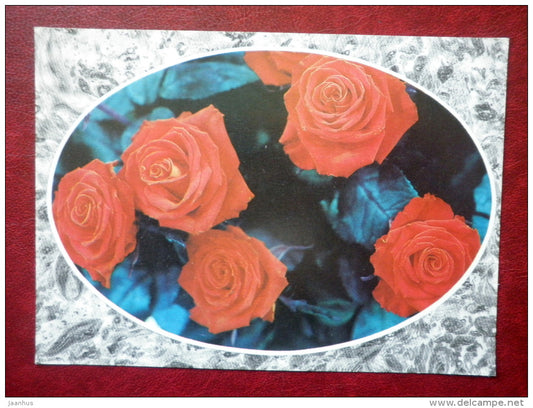 Greeting card - red roses - flowers - 1989 - Russia USSR - unused - JH Postcards