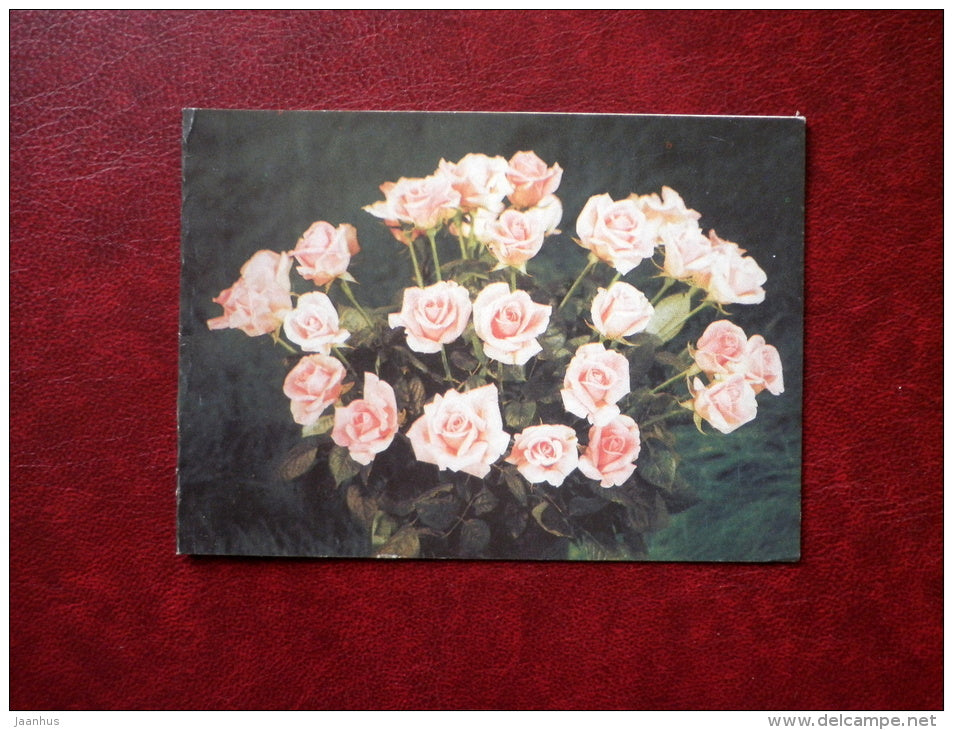 Mini Greeting Card - pink roses - flowers - 1992 - Estonia USSR - unused - JH Postcards