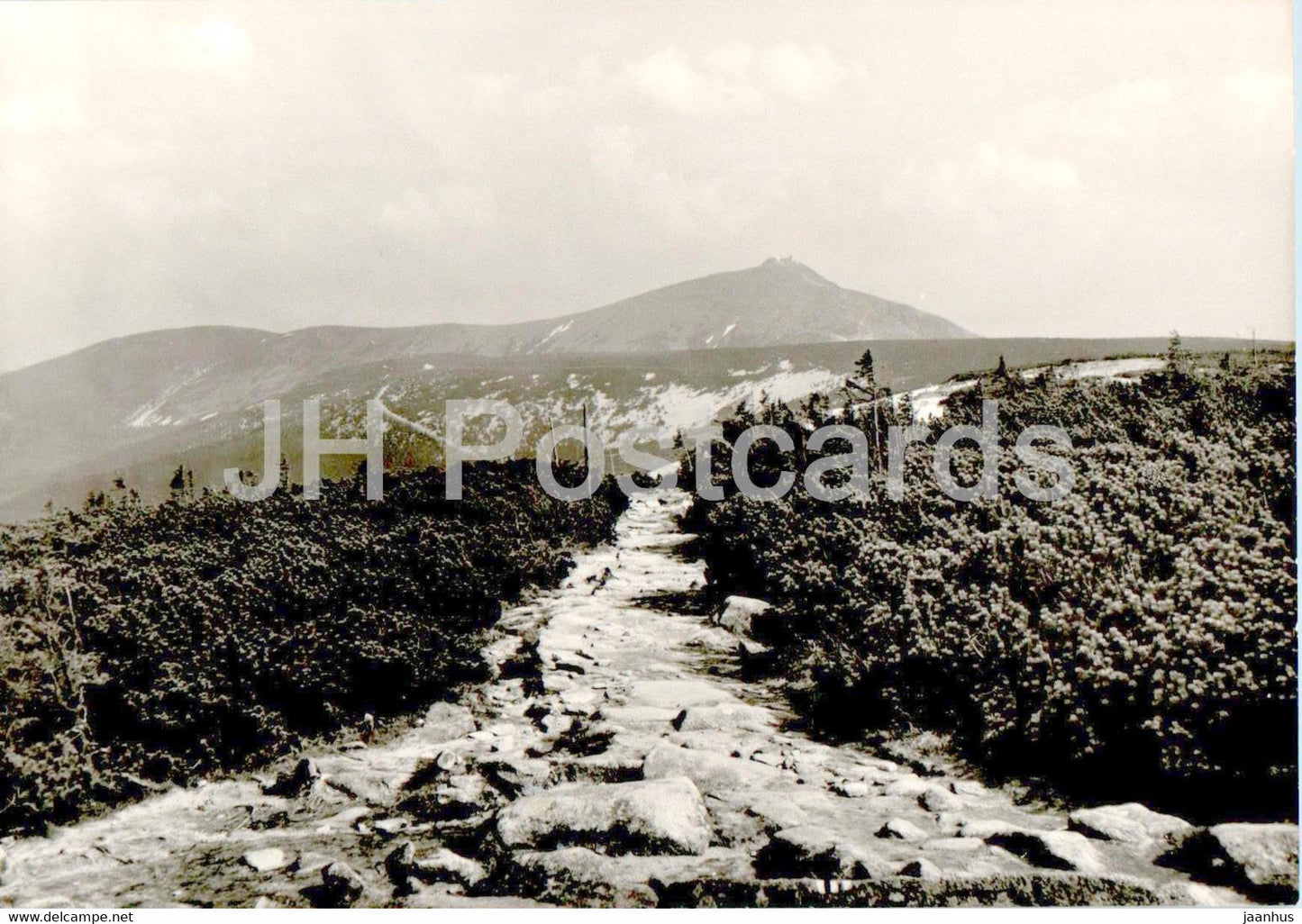 Karkonosze - Widok na Sniezke 1603 m - multiview - Poland - unused - JH Postcards