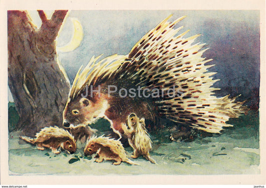 illustration by L. Gamburger - porcupine - animals - Postcards for Children - 1984 - Russia USSR - unused - JH Postcards