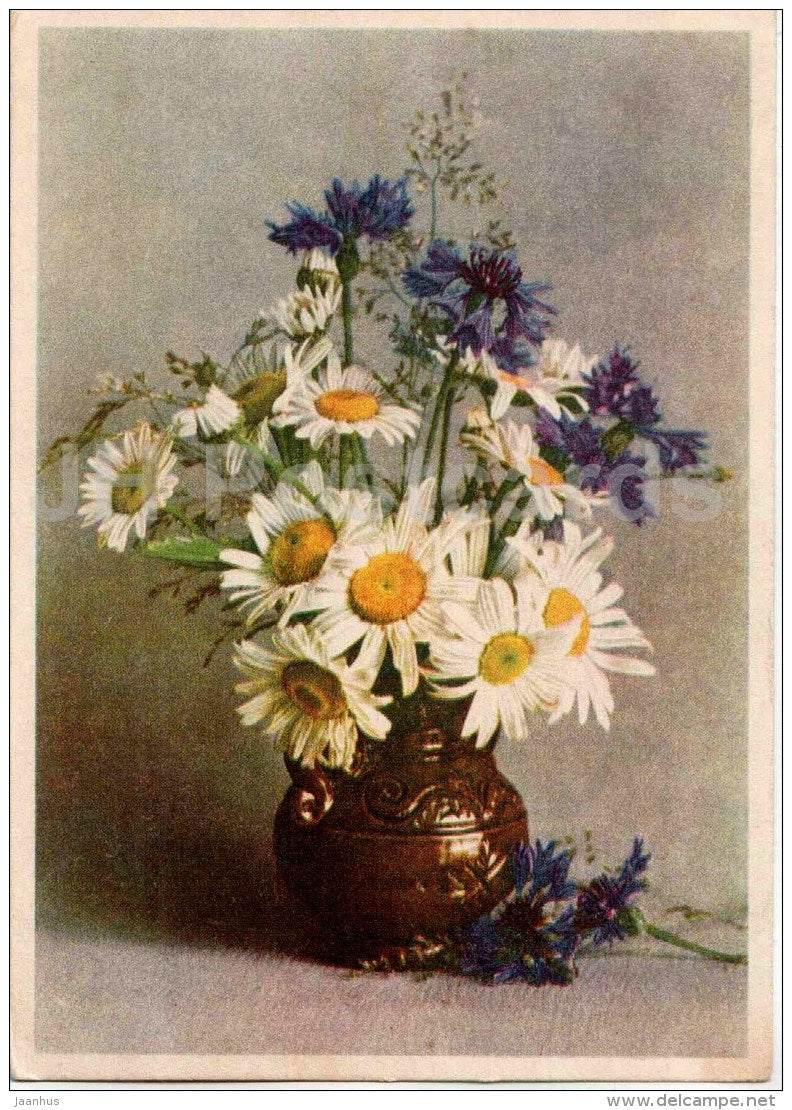 daisy , cornflowers in the vase - flowers - postal stationery - 1958 - Russia USSR - used - JH Postcards