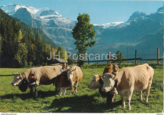 Lenk BO - Simmentalerkuhe - Wildstrubel - Gletscherhorn - cow - 1975 - Switzerland - used - JH Postcards