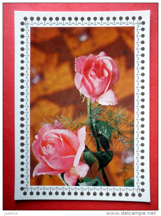 pink roses - flowers - Czechoslovakia - unused - JH Postcards