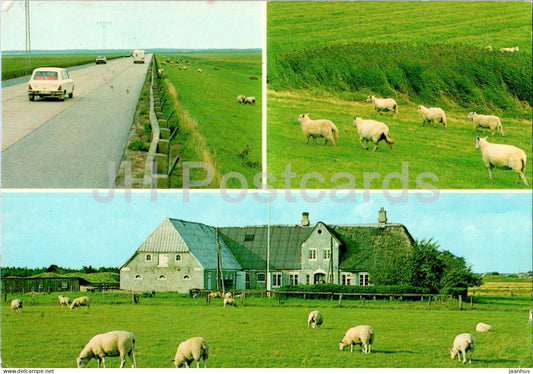 Romo - sheep - animals - road - house - multiview - 7528 - Denmark - used - JH Postcards