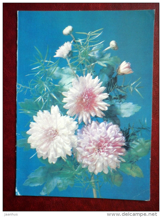 Greeting card - Chrysanthemum - flowers - 1989 - Russia USSR - used - JH Postcards