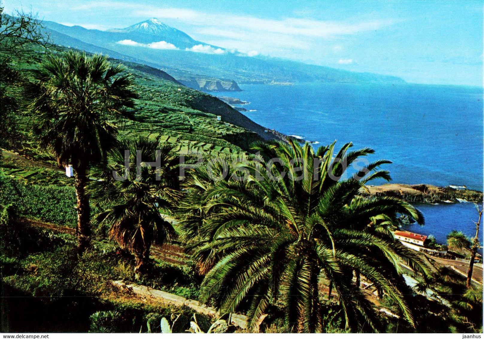 Paisaje y el Teide al fondo - Landscape - Tenerife - 2283 - Spain - unused - JH Postcards