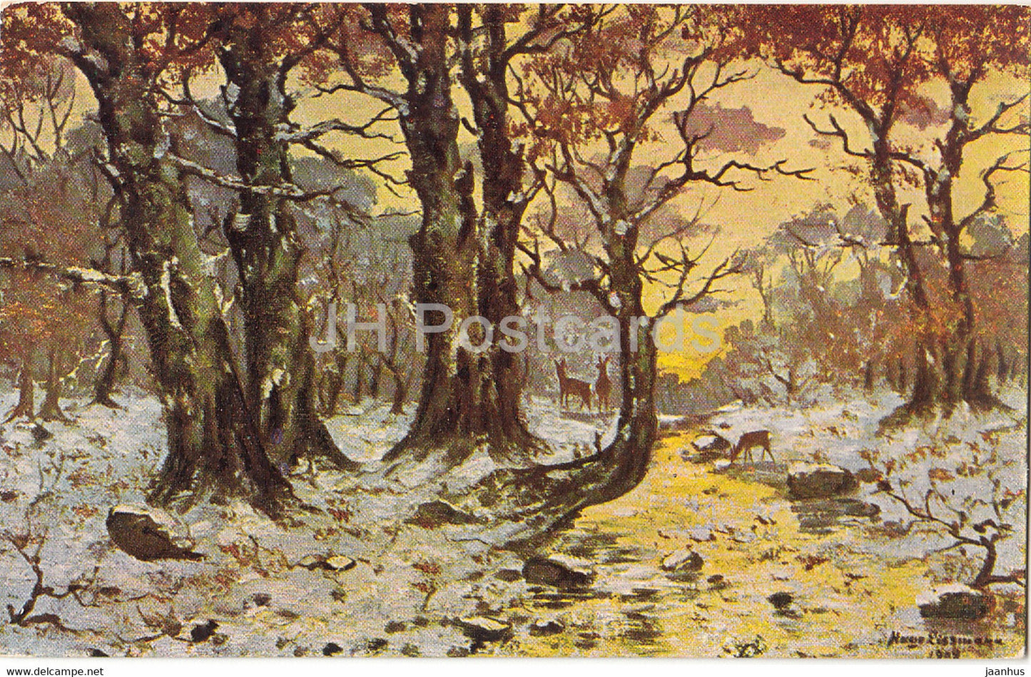 illustration - nature - Peluba 273 - old postcard - Germany - unused - JH Postcards