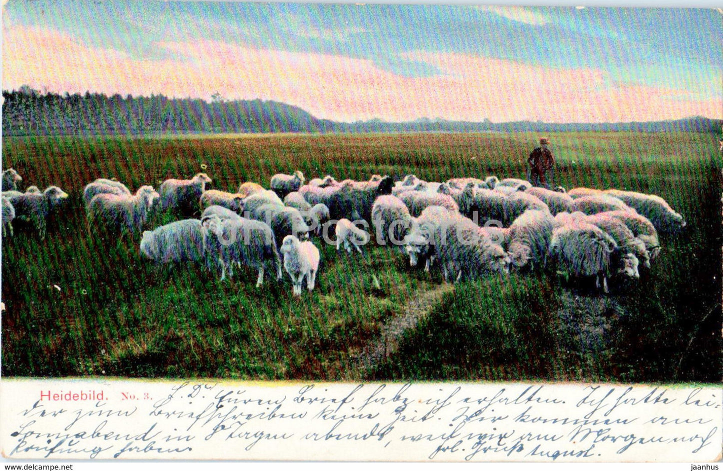 Heidebild No 3 - animals - sheep - old postcard - 1904 - Germany - used - JH Postcards