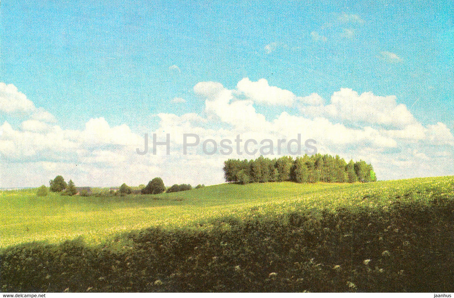 Latvian Nature - Scene of Vidzeme - 1976 - Latvia USSR - unused - JH Postcards