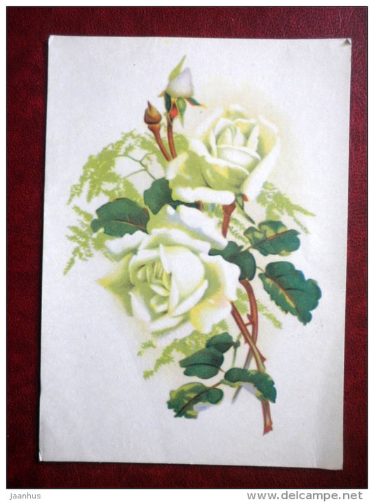 Birthday Greeting Card - white roses - flowers - 1977 - Russia USSR - used - JH Postcards