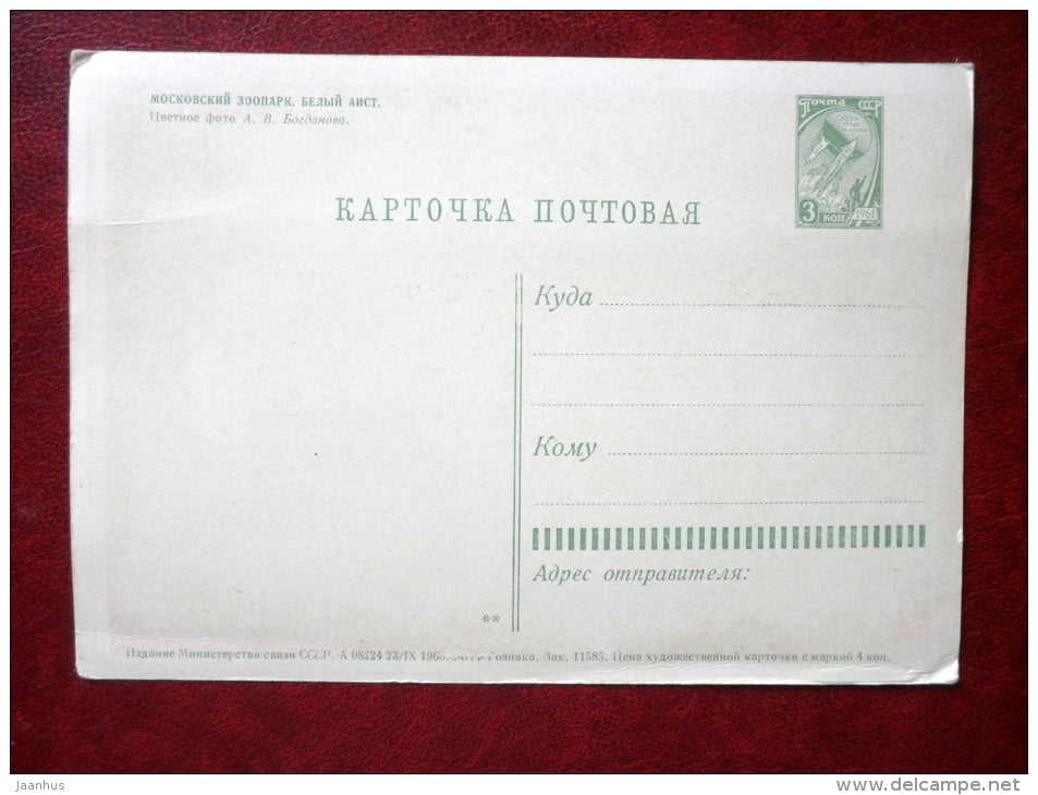 Moscow Zoo - White Stork - Ciconia ciconia - birds - 1963 - Russia USSR - unused - JH Postcards