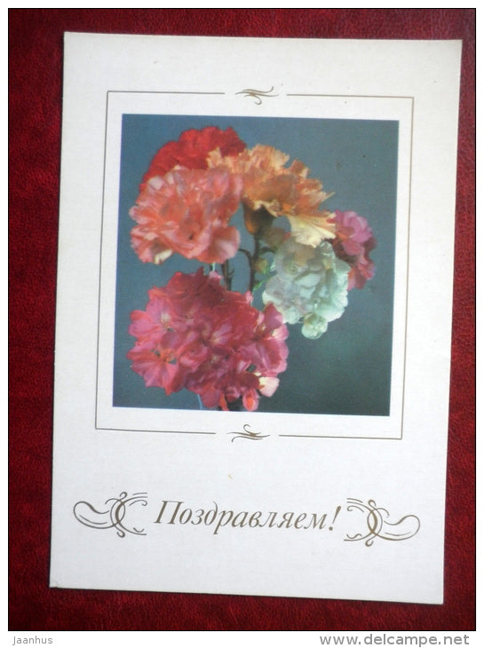 Greeting card - carnation - flowers - 1988 - Russia USSR - unused - JH Postcards