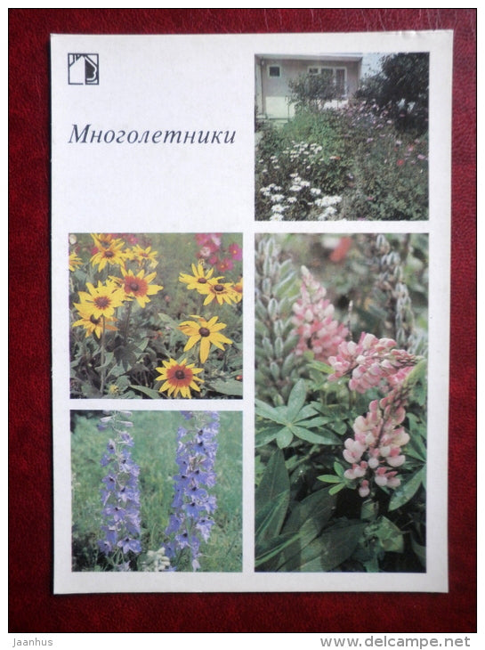 prennials - Decorative flowers - 1987 - Russia USSR - unused - JH Postcards