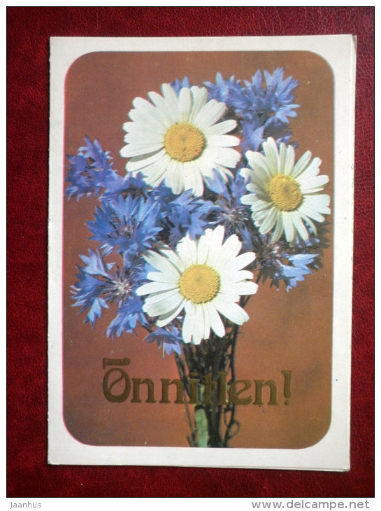 Greeting card - daisies - cornflowers - flowers - 1982 - Estonia USSR - used - JH Postcards