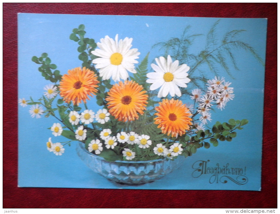 Greeting Card - composition - daisies - flowers - 1983 - Russia USSR - used - JH Postcards