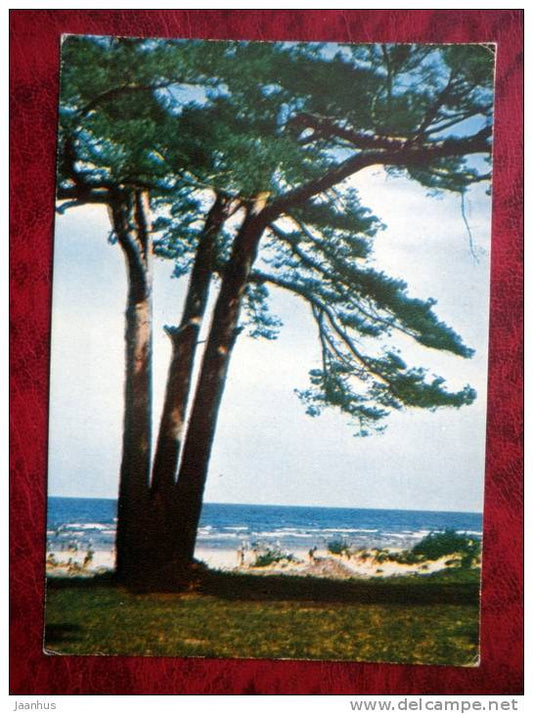 At the Seashore - 1960s - Latvia - USSR - unused - JH Postcards