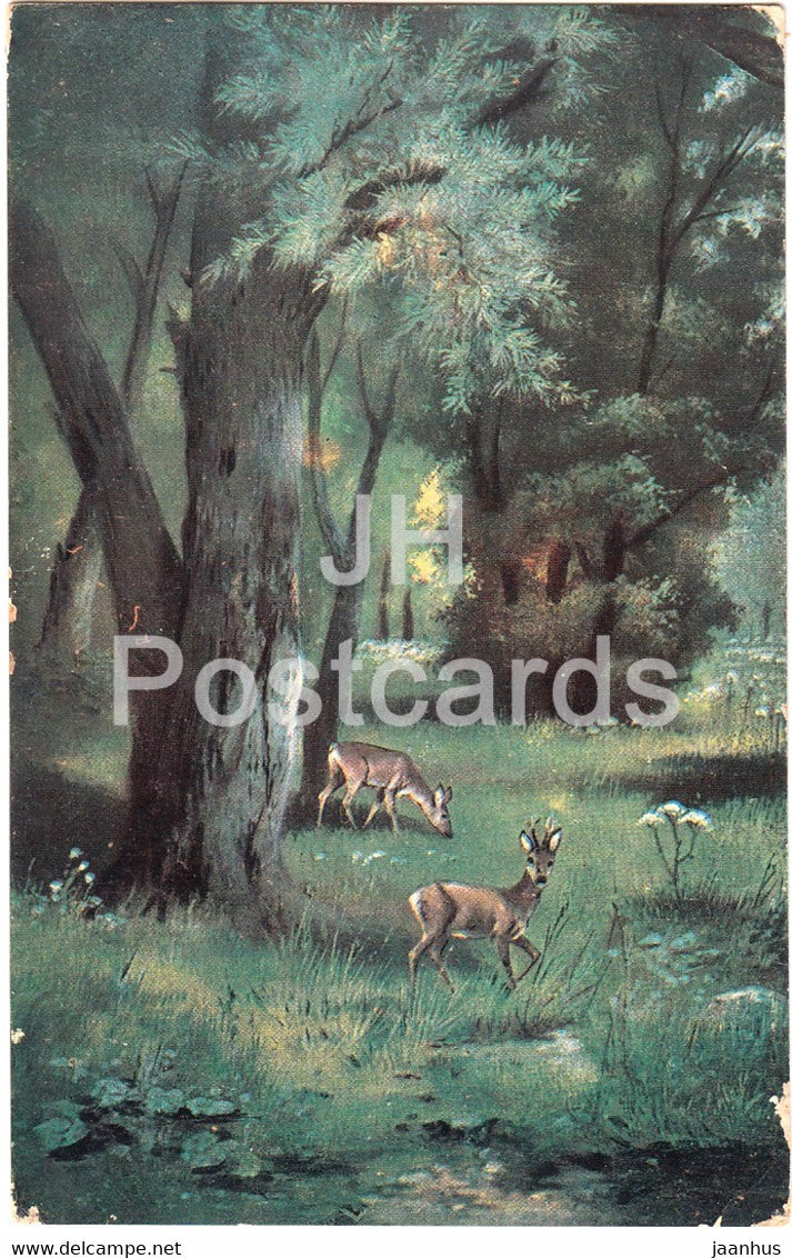 deer in forest - illustration - old postcard - 1914 - used - JH Postcards