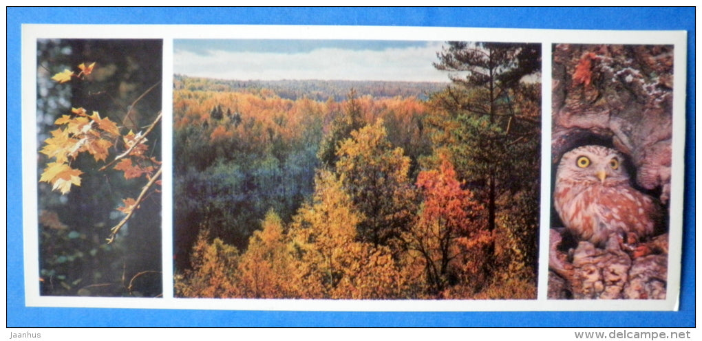 autumn views - owl - Moscow Oblast - Podmoskovye - 1977 - Russia USSR - unused - JH Postcards