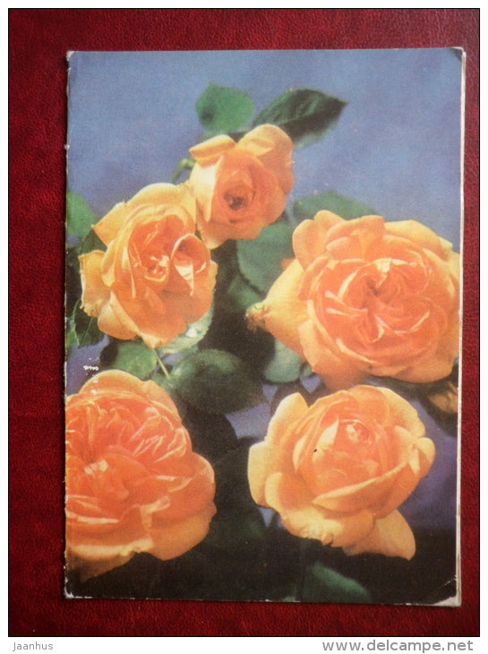 telegram - roses - flowers - 1977 - Estonia USSR - used - JH Postcards