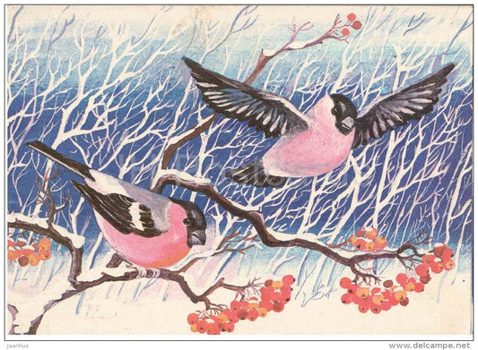 New Year Greeting card by M. Keil - bullfinch - birds - rowan berries - 1978 - Estonia USSR - used - JH Postcards