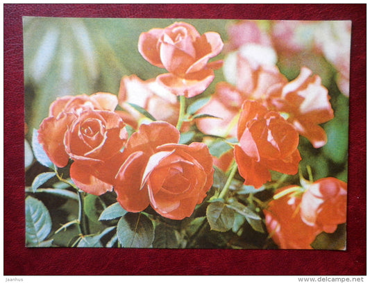 Greeting card - red roses - flowers - 1982 - Estonia USSR - used - JH Postcards