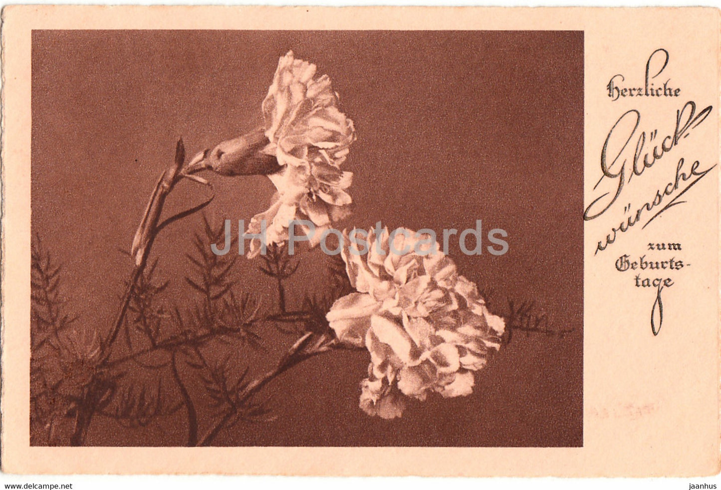 Birthday Greeting Card - Herzliche Gluckwunsche zum Geburtstage - flowers - BR 8851 - old postcard - Germany - used - JH Postcards