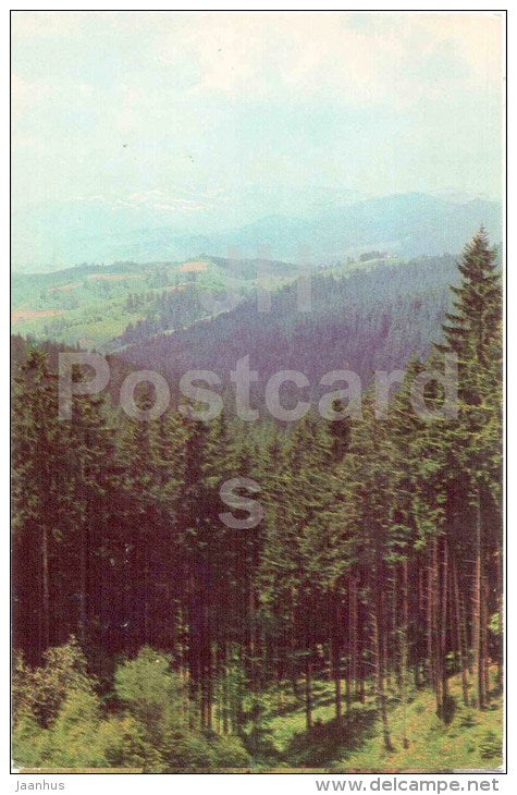 Carpathian State Reserve - Carpathians - Karpaty - 1980 - Ukraine USSR - unused - JH Postcards