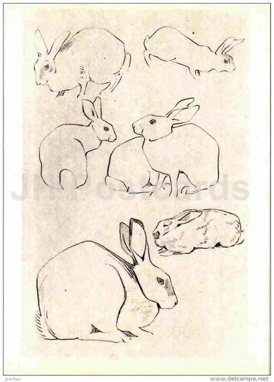 painting by Vasily Vatagin - Hare - Lepus - Russian art - 1978 - Russia USSR - unused - JH Postcards