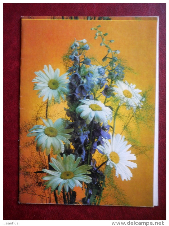 Greeting Card - daisies - flowers - 1983 - Russia USSR - used - JH Postcards