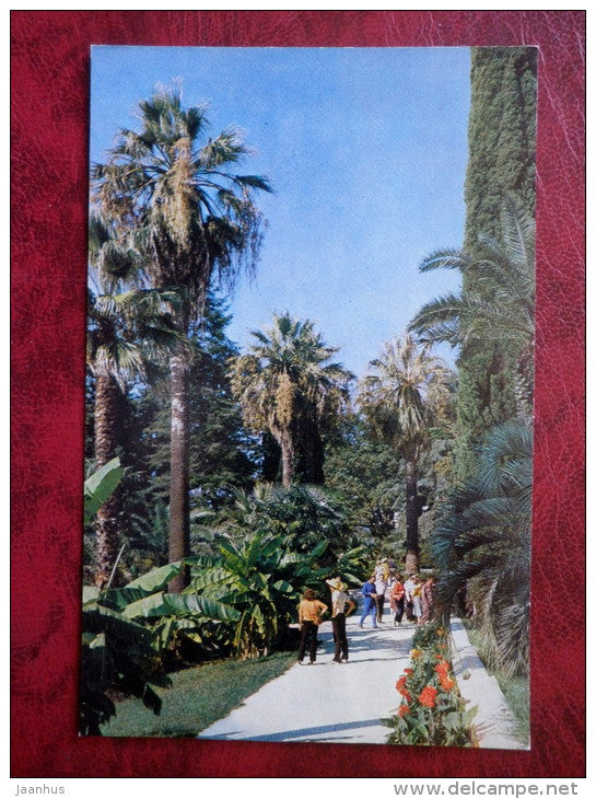 Botanic Gardens - palm - dendrarium - Sochi - 1981 - Russia USSR - unused - JH Postcards