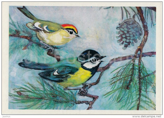 Goldcrest - Regulus regulus - Great tit - Parus major - Birds of Russian Forest - 1979 - Russia USSR - unused - JH Postcards