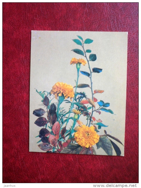 Mini Greeting Card - flowers composition - yellow carnation - flowers - 1983 - Russia USSR - unused - JH Postcards