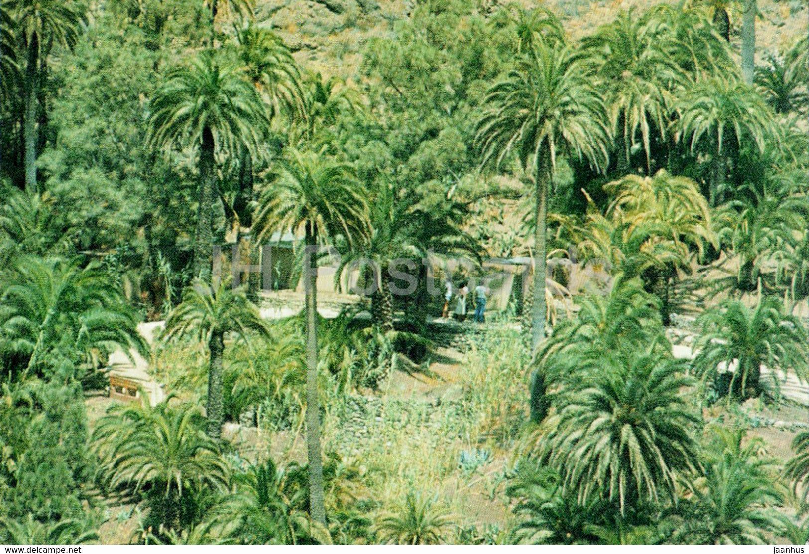 Maspalomas - Los Palmitos Park - Gran Canaria - Spain - unused - JH Postcards