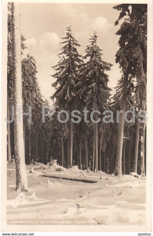 Letztes Licht im verschneiten Harzwald - 1615 - old postcard - 1933 - Germany - used - JH Postcards