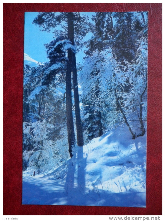 New Year greeting card - winter forest - 1974 - Russia USSR - used - JH Postcards