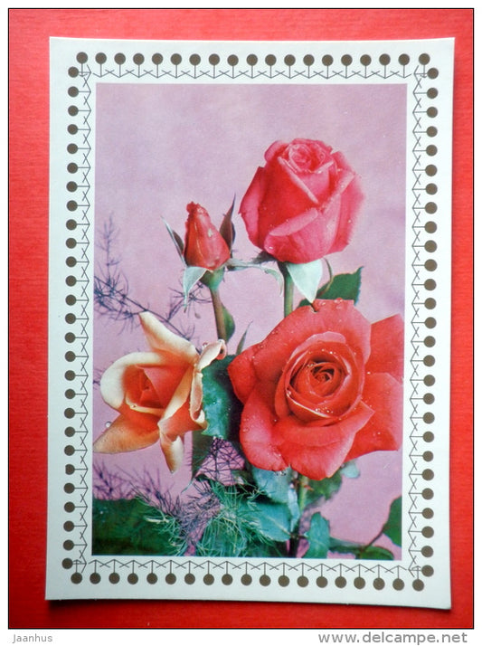 red roses 1 - flowers - Czechoslovakia - unused - JH Postcards