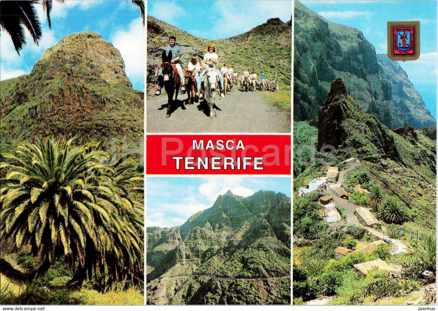 Masca - Diversos aspectos - different views - Tenerife - animals - horse - donkey - multiview - 256 - Spain - unused - JH Postcards