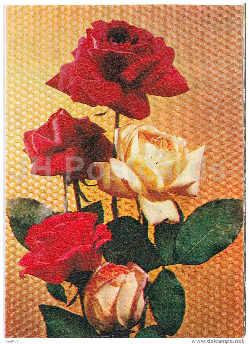 greeting card - roses - telegram - Russia USSR - used - JH Postcards